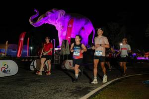 BIB: 
                            <button type="button" onclick="openModal(26534653)" class="btn btn-primary btn-sm float-right btn-popup" data-toggle="modal" data-target=".modal-high-quality">
                        <i class="fas fa-shopping-cart"></i> Add to Cart
                    </button>
                                            <button type="button" onclick="isThisMe(26534653, true)" class="btn btn-success btn-sm float-right btn-popup btn-isme hidden" data-toggle="tooltip" data-placement="bottom" title="นี่คือรูปของคุณใช่ไหม คลิกที่นี่เพื่อเอาเข้าอัลบั้ม">
                        <i class="fas fa-plus"></i> Add to album
                    </button>
                    <button type="button" onclick="isThisMe(26534653, false)" class="btn btn-warning btn-sm float-right btn-popup btn-isnotme hidden">
                        <i class="fas fa-ban"></i> Remove from album
                    </button>